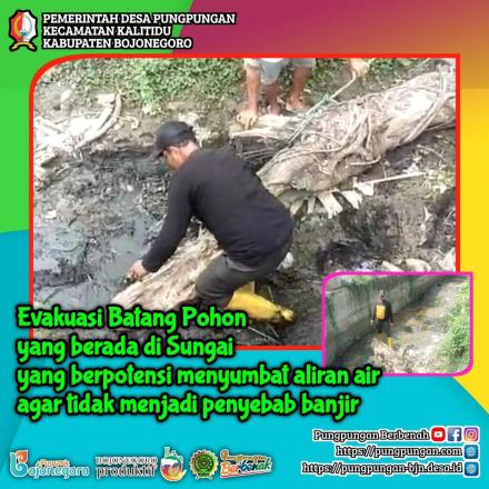 PUNGPUNGAN: Upaya Tanggap Bencana, Evakuasi Batang Pohon di Sungai Desa Pungpungan